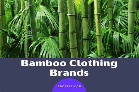 bamboo clothing armor replica|bamboo fabric brands.